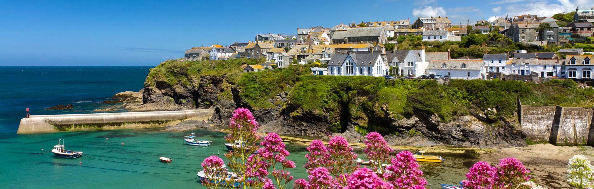 Port Isaac harbour and village with pink valerian flowers in the foreground, north Cornwall